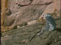 BASE jump accident at angel s falls venezuela