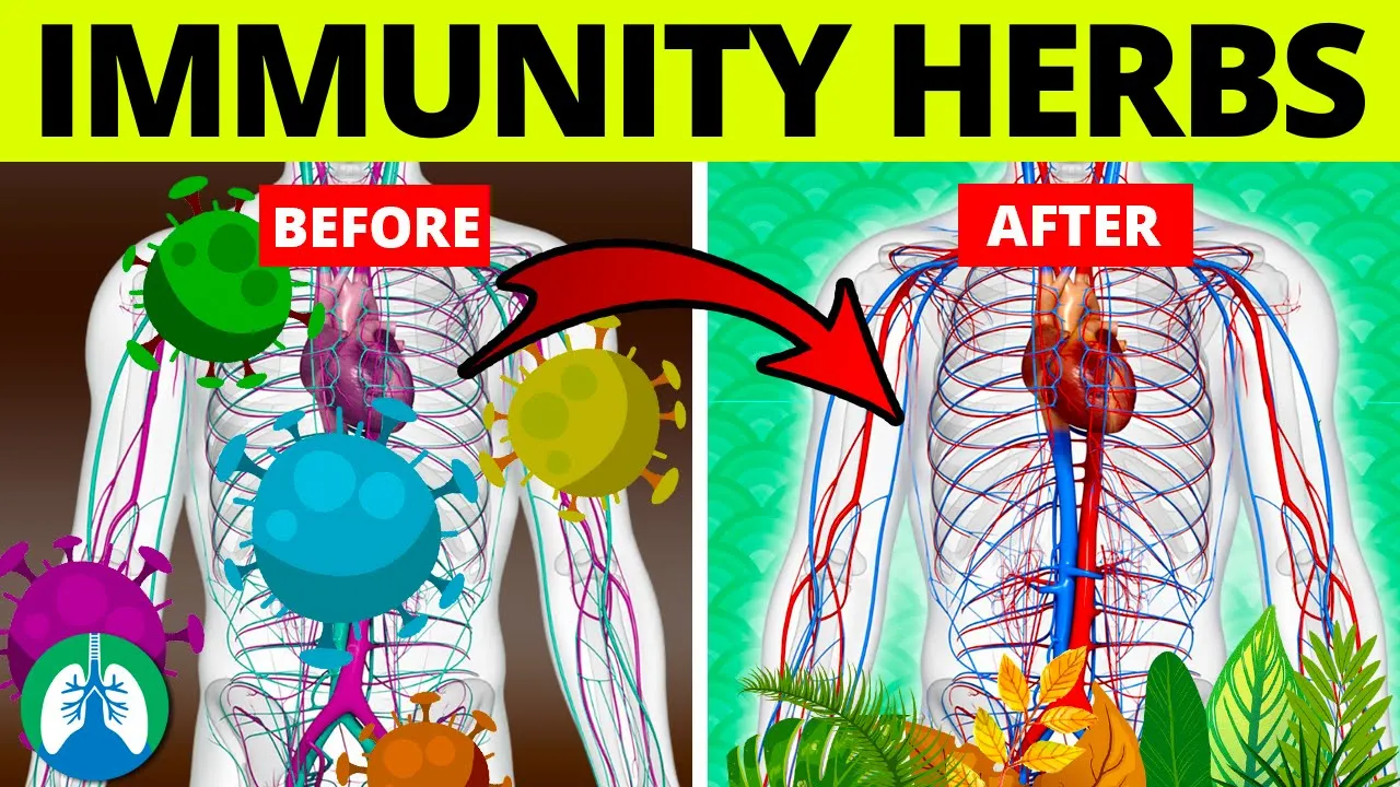 Top 5 Herbs to Kill Viruses and Boost Your Immune System