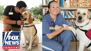 Inmate-trained service dogs bring hope to soldiers veterans