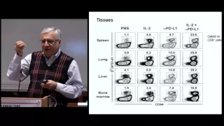 T-Cell Memory and Exhaustion