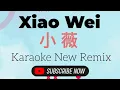 Xiao Wei Karaoke Remix 小薇 NEW (黄品源-Huang Pin Yuan)