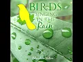 Birds Singing in the Rain