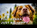 Download Lagu Just Be Happy (with lyrics) - Pink Zebra featuring Benji Jackson