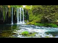 Waterfall River Nature Sounds with Beautiful Relaxing Piano Music - Water Sounds Relaxing Music
