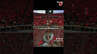 محبي نادي القرن الأفريقي نادي الأهلي المصري 