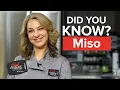 Download Lagu What is Miso Paste and Why It Is Incredibly Healthy  | Fun Food Facts