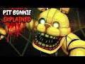Twisted Story Of PIT BONNIE AGONY EXPLAINED - FNAF Into The Pit