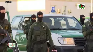 المفرزة الخاصة لتدخل لدرك الوطني الأقوى في إفرقيا 