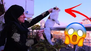 أمي كبت قطتنا من الشباك    دندنها