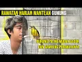 Download Lagu Tips Rawatan Harian MANTENAN GUNUNG