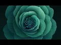 Yaeji & OHHYUK - 29 (Lyrics) I gotta go (iPad air ad song)