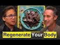 Eat This Dessert Food To Regenerate Your Stem Cells Dr William Li