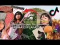 BEABADOOBEE TIKTOK DRAMA EXPLAINED plus deleted tiktok stories