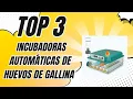 The 3 Best Automatic Chicken Egg Incubators on Amazon 2025
