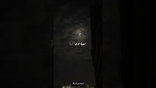 قولي ازاي اعيش سبت فراغ كبير عمرو دياب By Amr Diab 