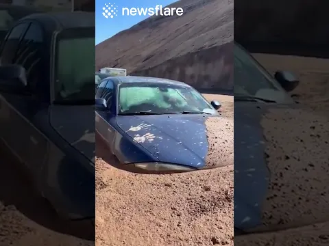 Our Cars Got Stuck In The Mud