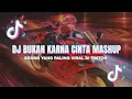 Download Lagu DJ BUKAN KARNA CINTA MASHUP VIRAL TIKTOK