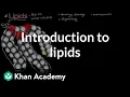 Introduction to lipids High school biology Khan Academy