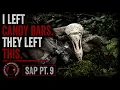 Sasquatch Awareness Project - Gifts and Shelters