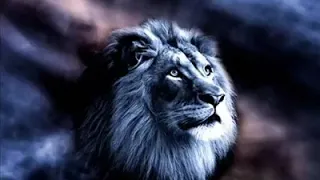 اوليس موتي في حياتي مرة فلما لا يكون ختامها استشهاديا 