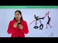 Soft Skills - Career Development Planning