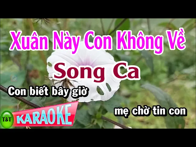 ❤️❤️ Xuân Này Con Không Về- mời Sc cùng Jas.