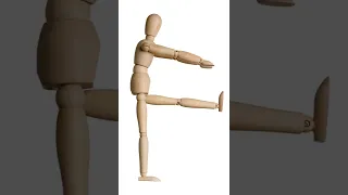 The Rectus Femoris Muscle