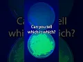 Download Lagu Genetically Modifying Bacteria Speed Run