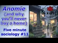 Emile Durkheim s Anomie Five minute sociology