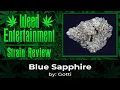 Blue Sapphire - by Gotti