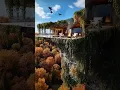 Download Lagu 🏡✨Hidden Mountain House in the Forest | Fire, Birds \u0026 Quiet Ambience🔥#cozyfireplace #mountainhome