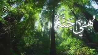 هي جنة حمود الخضر بدون موسيقى 