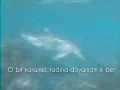 Ozbi - o bi karamel (Edit video)