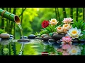 Download Lagu Healing Sleep Music – Meditation, Relaxing Piano, Stress Relief, Spa Ambience and Calming Sounds