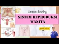 Download Lagu ANATOMI FISIOLOGI SISTEM REPRODUKSI WANITA