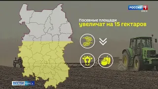 В Омской области существенно увеличат посевные площади под картофель