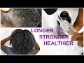 10 Lavender Oil Benefits for Natural Hair GROWTH SCALP REPAIR Naturenics