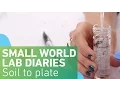 Small World Lab Diaries 1 From soil to plate