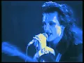Download Lagu The Damned - Curtain call - The Best Version Sound \u0026 Video
