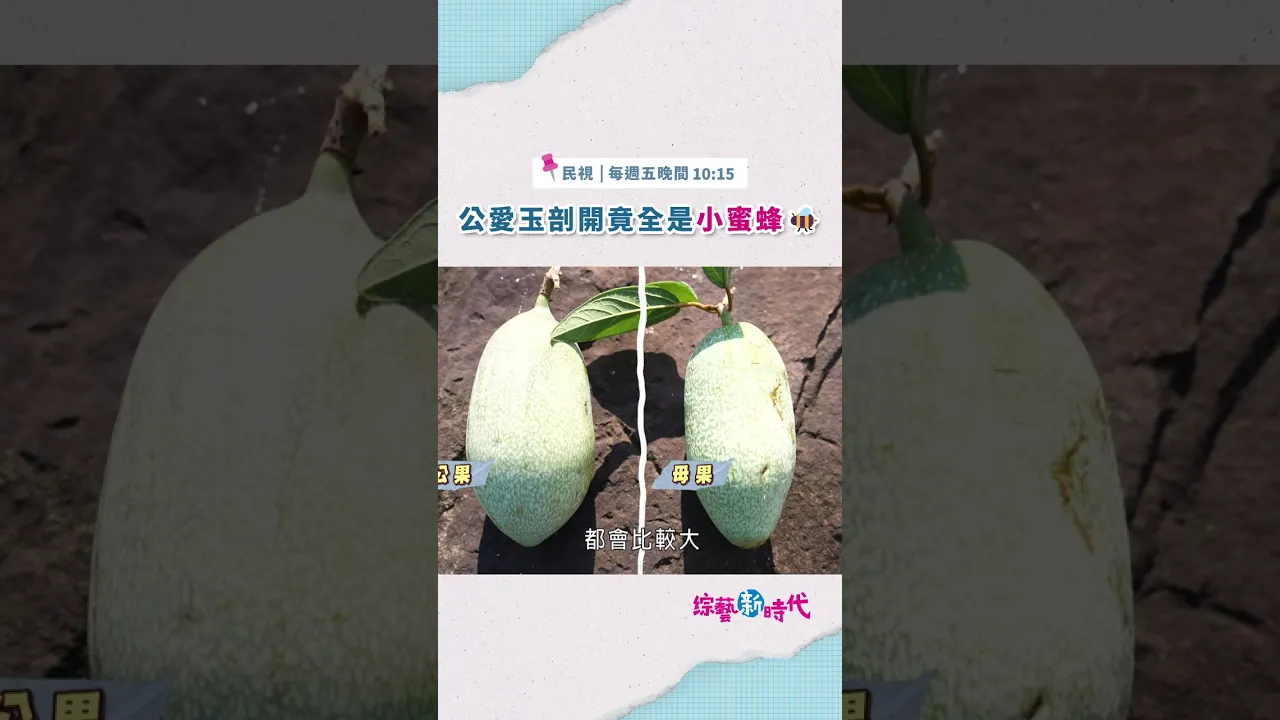 公愛玉剖開竟全是小蜜蜂🐝#綜藝新時代