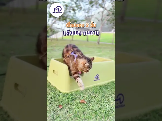 MOMOVIDA กระบะทรายแมวขนาดใหญ่