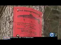 DEEP creates new fishing restrictions as native trout numbers drop up to 37 percent