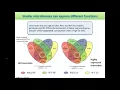 Metatranscriptomics