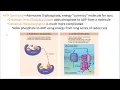 2402 Lecture Chapter 24 Nutrition and Metabolism 2 PowerPoint Screencast