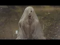 Download Lagu ± TΣΛRJΣRKΣR × VV0LFBΣЯRY 🍇 ± - Я Иду Тебя Искать