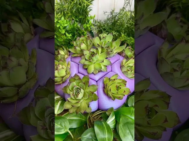 Bio Blob video thumbnail