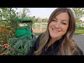 Planting Our Latest Garden Center Haul Talking Grass with Aaron Garden Answer