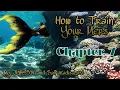 How to Train Your Mers - Chp 7 A DC Podfic