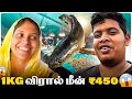 Download Lagu தஞ்சாவூர் மீன் Market ❤️ - Irfan's View