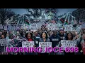 Morning Joce 698 Americans Protest Bills AB Hospitalized Hayden Penattiere Haiti Vs America